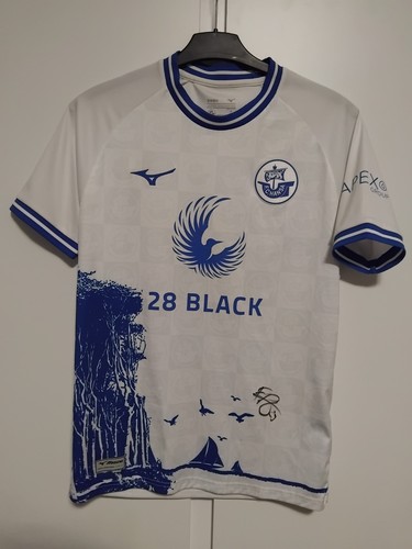 Hansa rostock trikot - rostock,